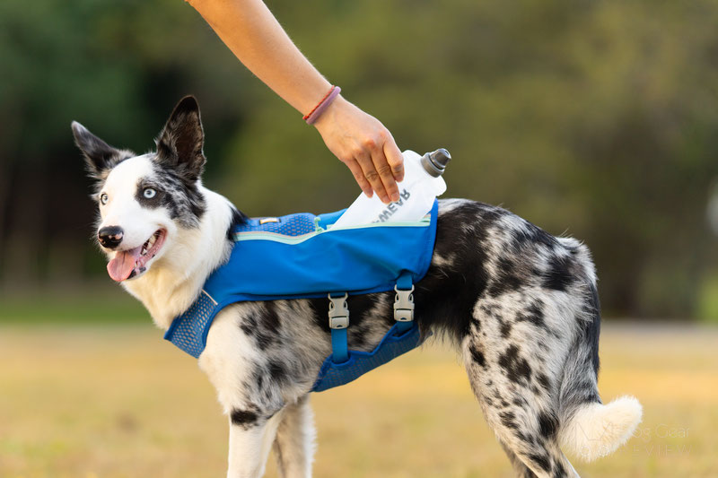 Ruffwear Trail Runner Dog Vest Review | Dog Gear Review