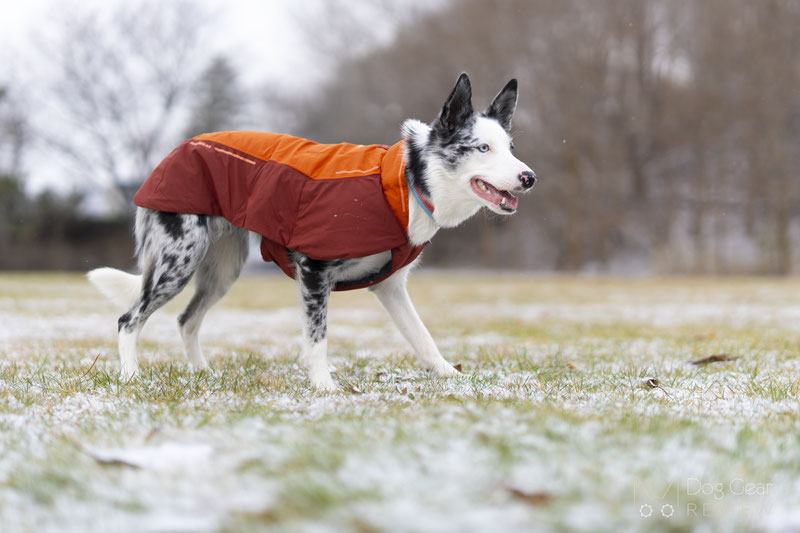 Ruffwear Vert Jacket Review | Dog Gear Review
