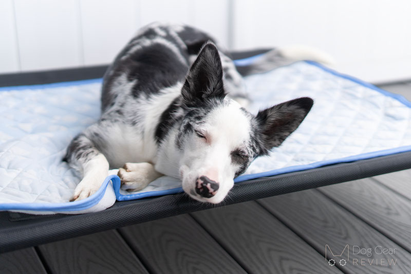 Rywell Arc-Chill Cooling Mat Review | Dog Gear Review