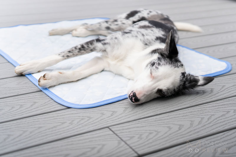 Rywell Arc-Chill Cooling Mat Review | Dog Gear Review