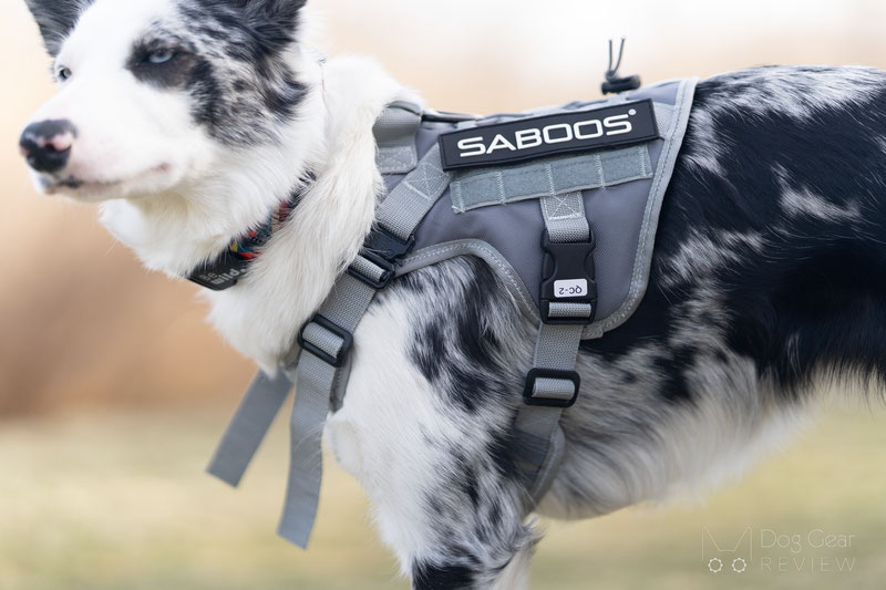 SABOOS Tactical Harness Review | Dog Gear Review