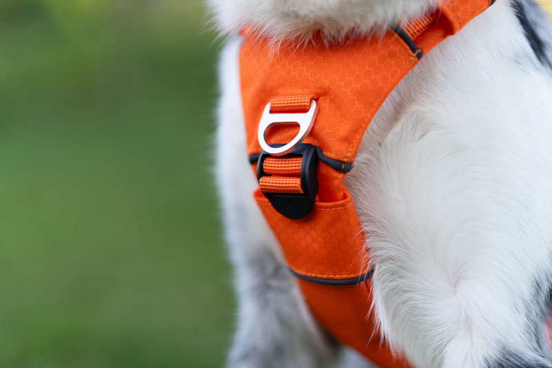 Saker Canyon Harness Review | Dog Gear Review