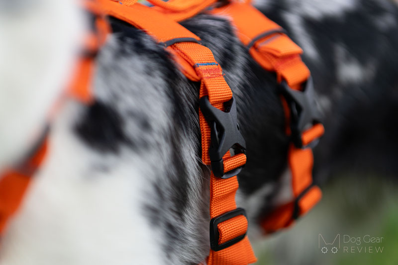 Saker Canyon Harness Review | Dog Gear Review