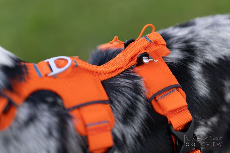 Saker Canyon Harness Review | Dog Gear Review