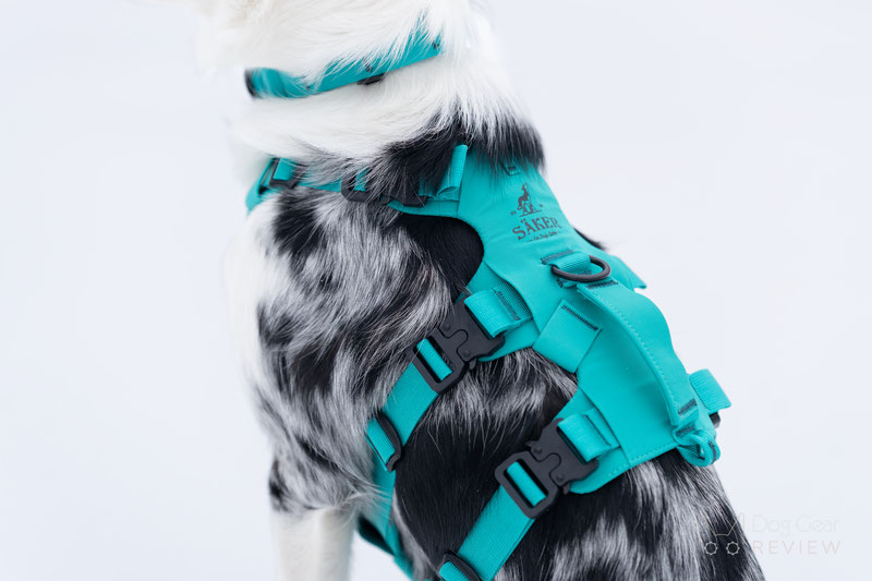 Saker Muse Harness Review | Dog Gear Review