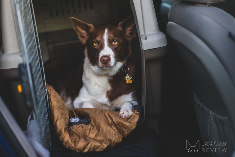 Midwest Skudo Travel Carrier Review | Dog Gear Review