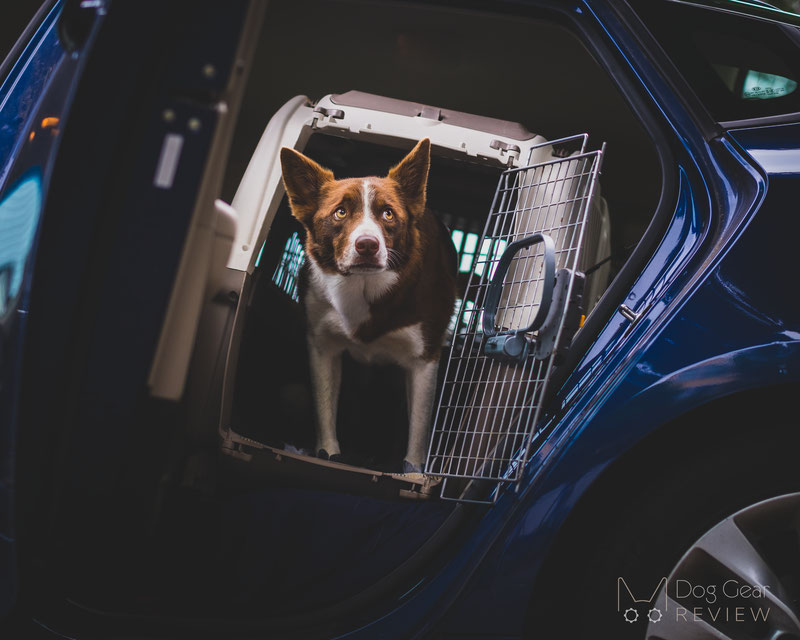 Midwest Skudo Pet Travel Carrier