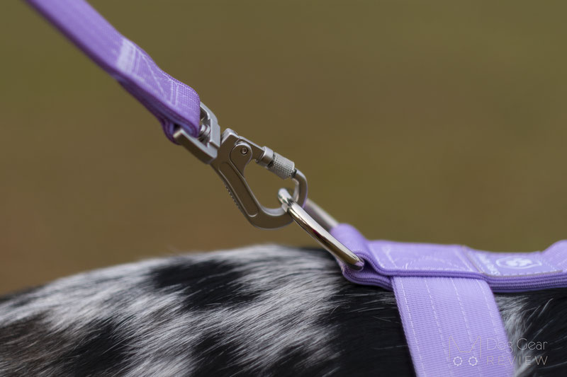 Spark Paws Anti Pulling Y-Harness Set Review | Dog Gear Review