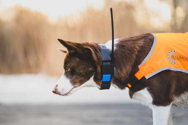 Collar para perro con localizador SportDog ▷ Tek 2.0 GPS