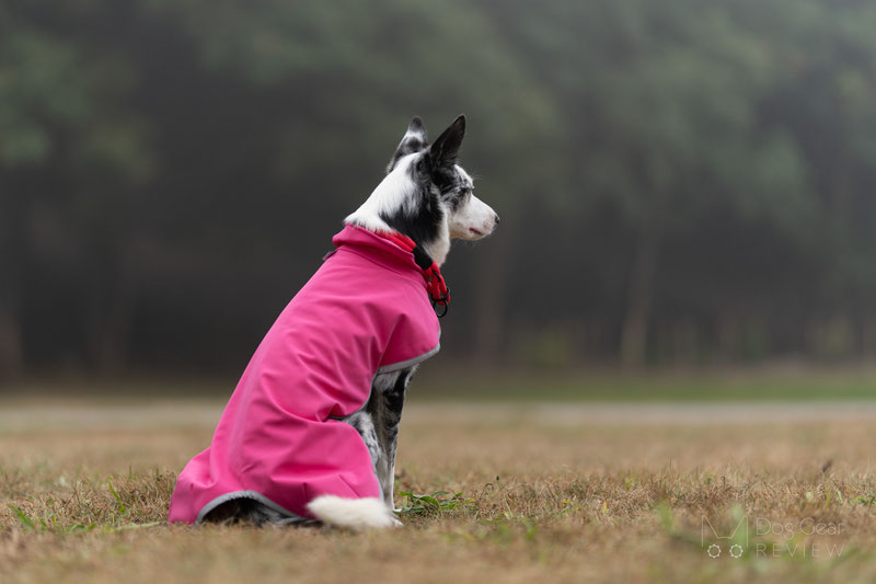 Pomppa SporttiPomppa Review | Dog Gear Review