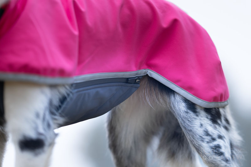 Pomppa SporttiPomppa Review | Dog Gear Review