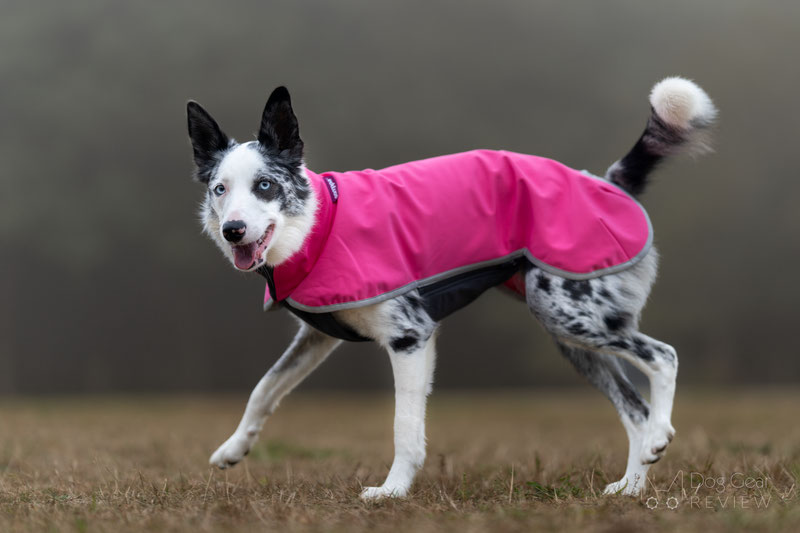 Pomppa SporttiPomppa Review | Dog Gear Review