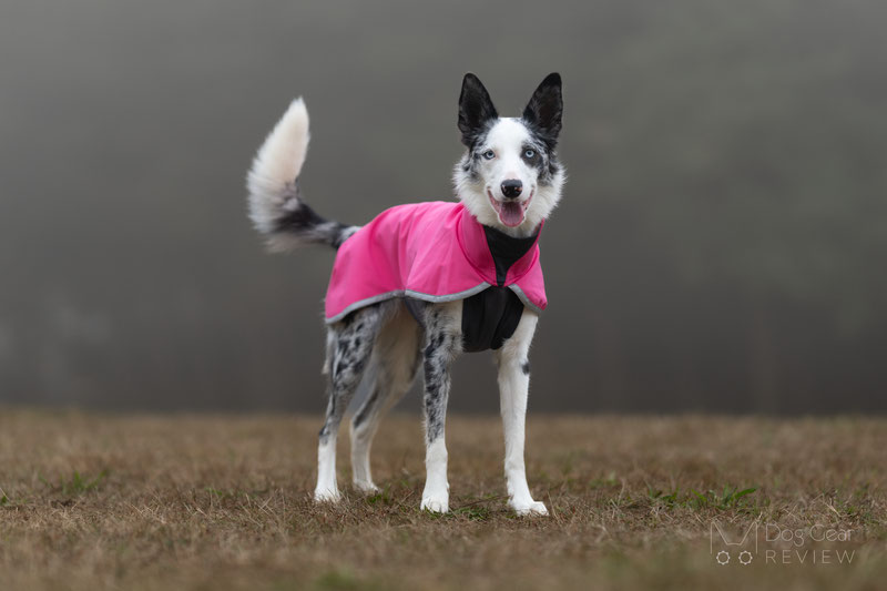 Pomppa SporttiPomppa Review | Dog Gear Review