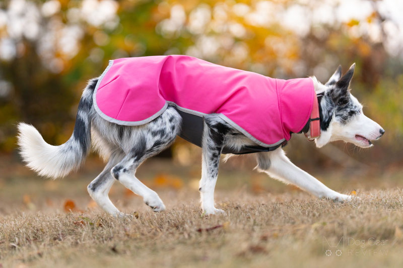 Pomppa SporttiPomppa Review | Dog Gear Review