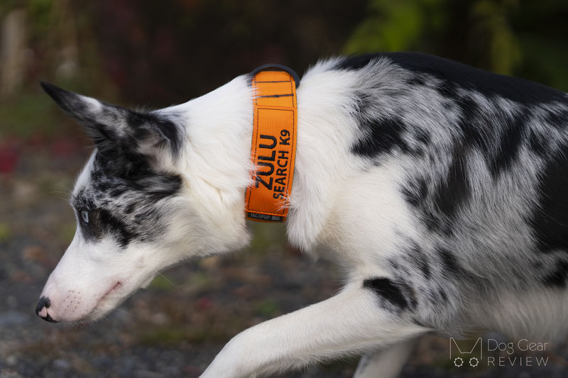 Mui Patented Magnetic Rope Dog Leash - Mui Pet Glacier White