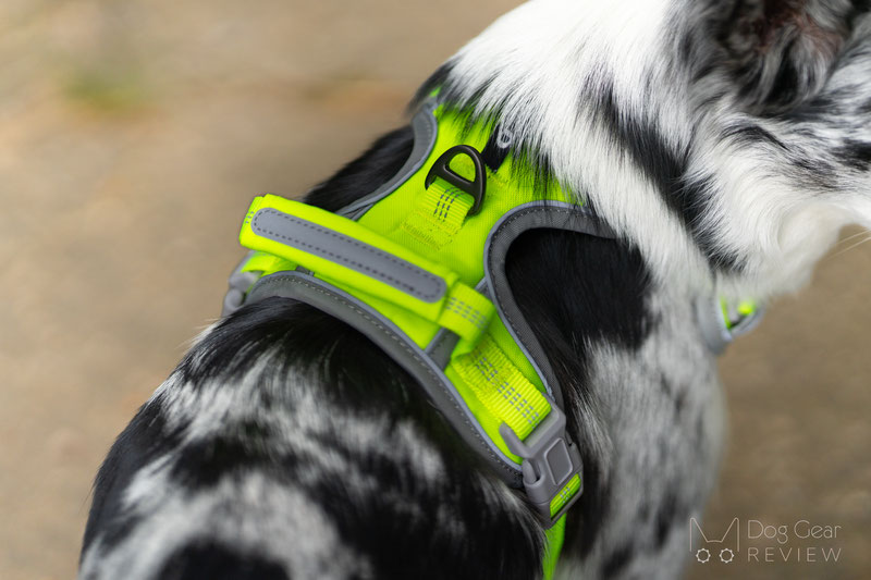 ThinkPet No Pull Dog Harness Review | Dog Gear Review