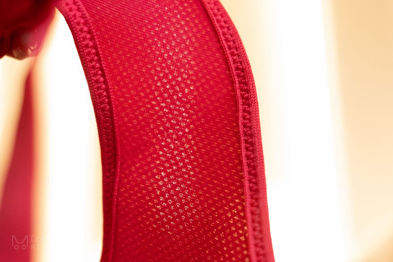 Truelove TLH1911 Mesh Harness Review | Dog Gear Review