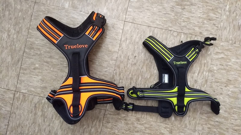 Truelove TLH5551 Harness Review | Dog Gear Review