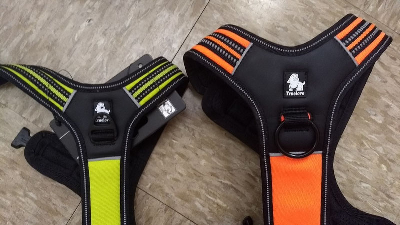 Truelove TLH5551 Harness Review | Dog Gear Review