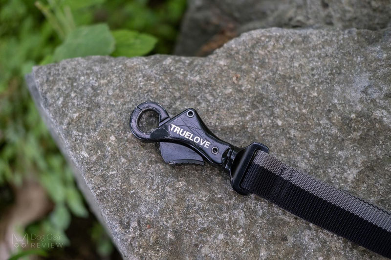 Truelove TLL2271 Bungee Leash Review | Dog Gear Review