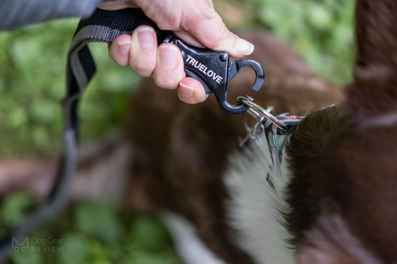 Truelove TLL2271 Bungee Leash Review | Dog Gear Review