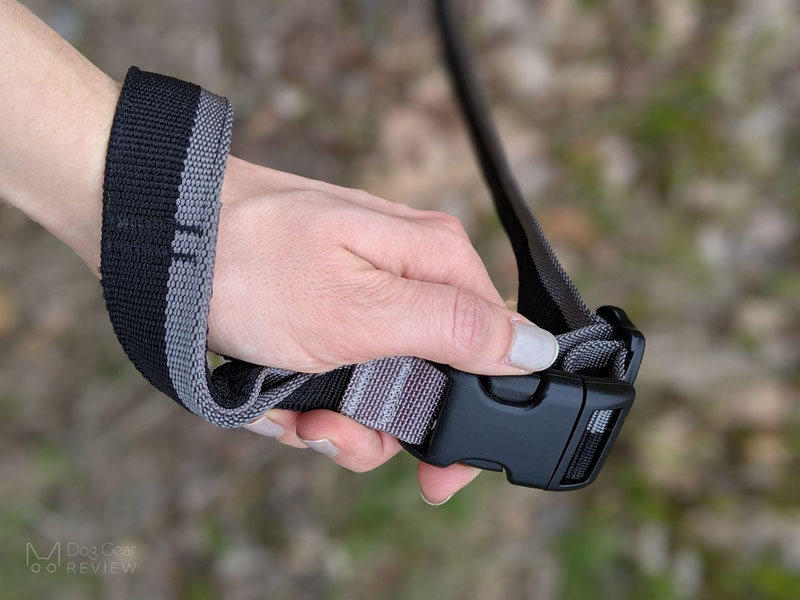 Truelove TLL2271 Bungee Leash Review | Dog Gear Review