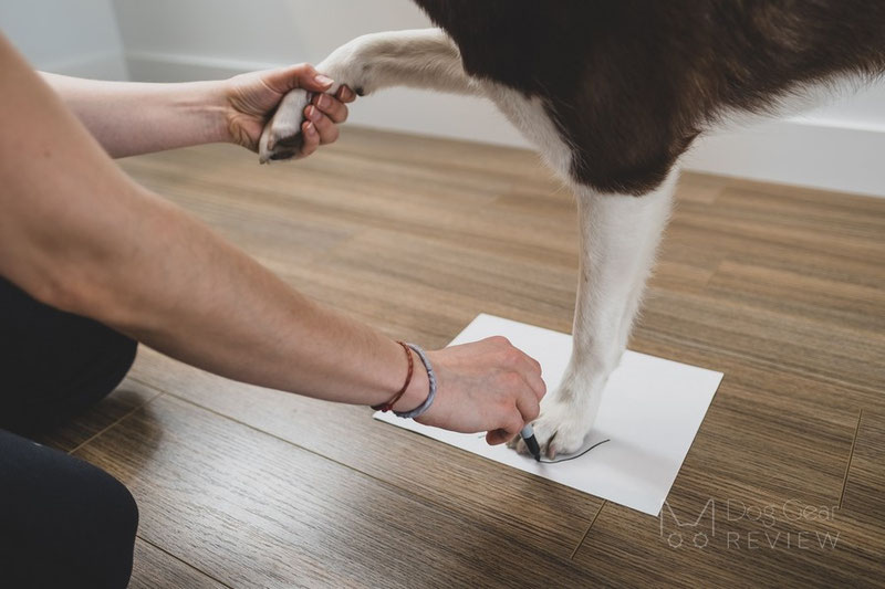 how do you measure a dogs paws for boots