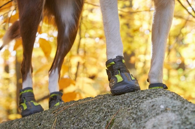 Truelove TLS3961 Boots Review | Dog Gear Review