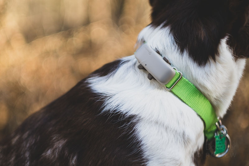  Tractive GPS Pet Tracker with LED Light Up Dog Collar