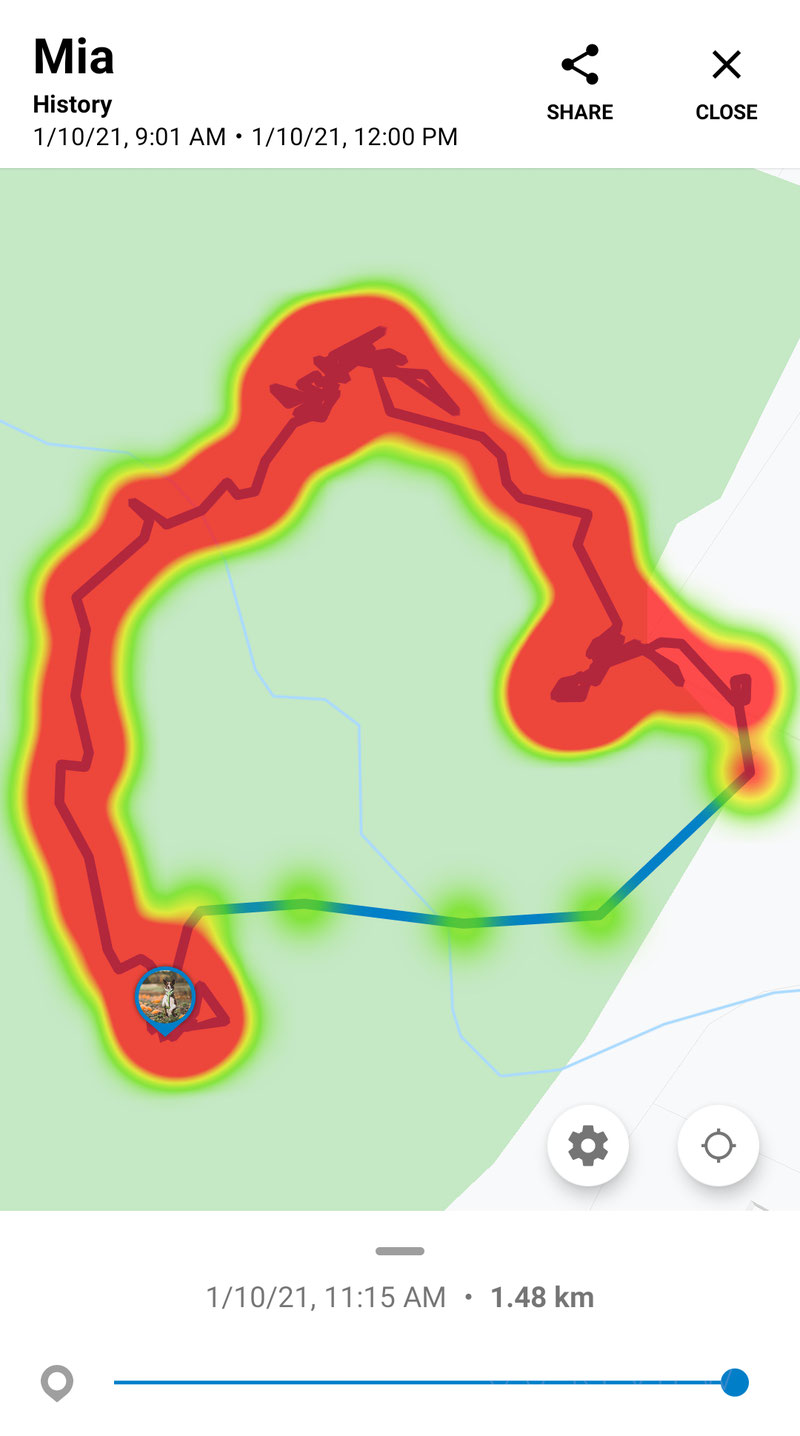 Invoxia GPS Tracker - Area 13