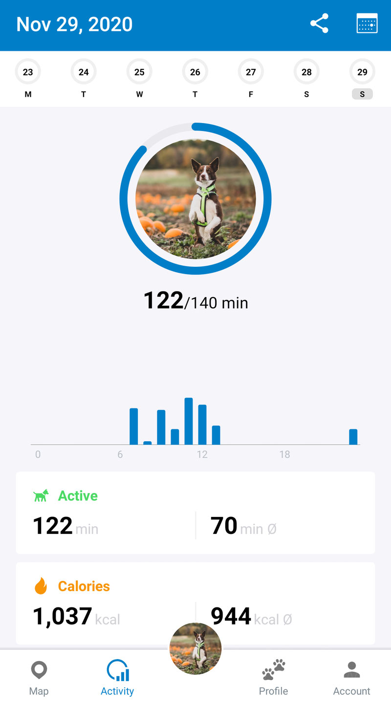 Tractive GPS 1 YR REVIEW 