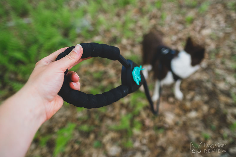 TUG Oval™ Rope Leash Review | Dog Gear Review