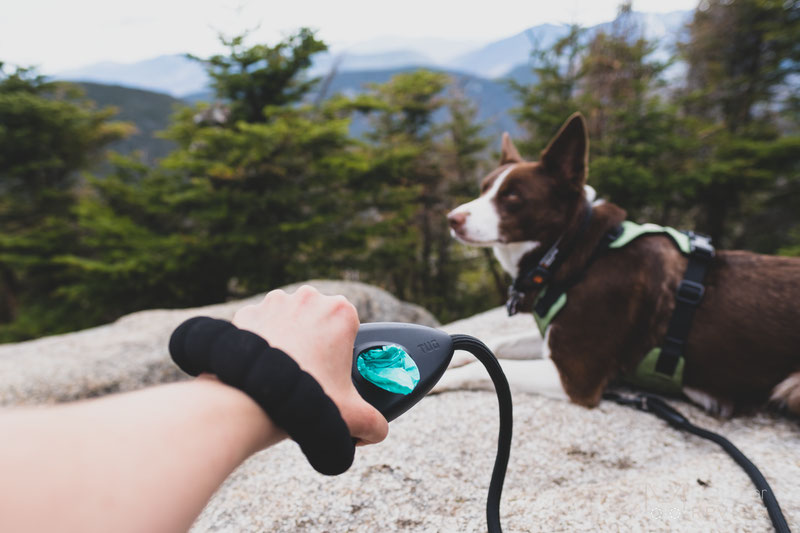 TUG Oval™ Rope Leash Review | Dog Gear Review