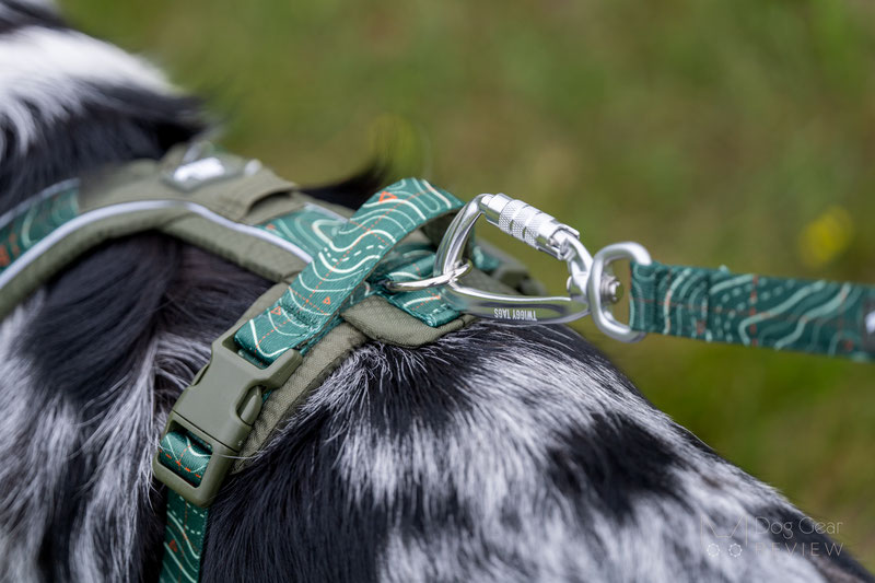 Twiggy Tags Apex Harness Review | Dog Gear Review