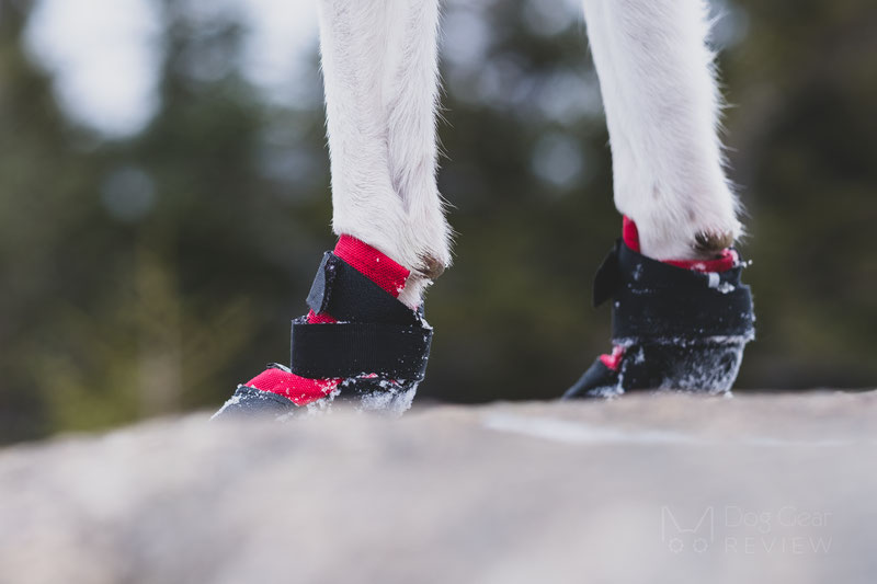 Ultra Paws Rugged Boot Review | Dog Gear Review