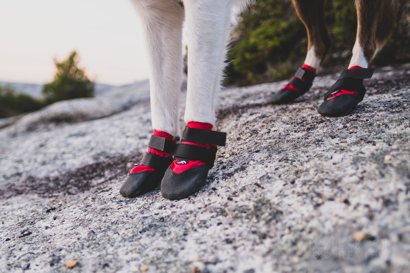 Ultra Paws Rugged Boot Review | Dog Gear Review