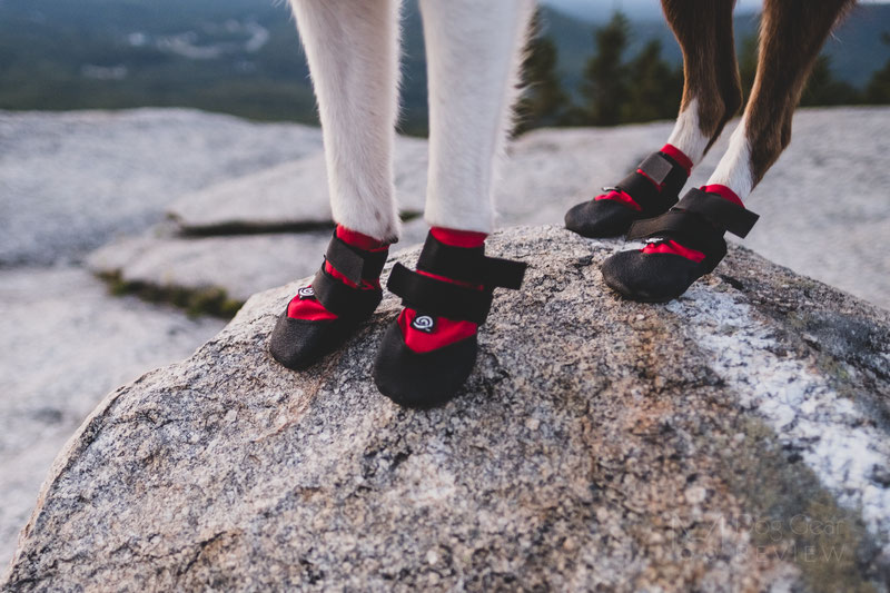 Ultra paws rugged outlet dog boots