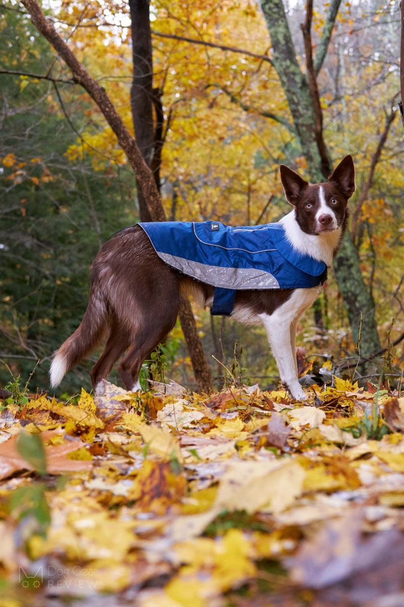 UsefulThingy Coat Review | Dog Gear Review