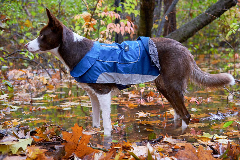 UsefulThingy Coat Review | Dog Gear Review