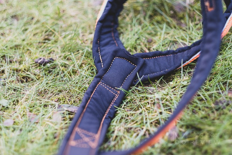 Vagus Sport Harness Review | Dog Gear Review