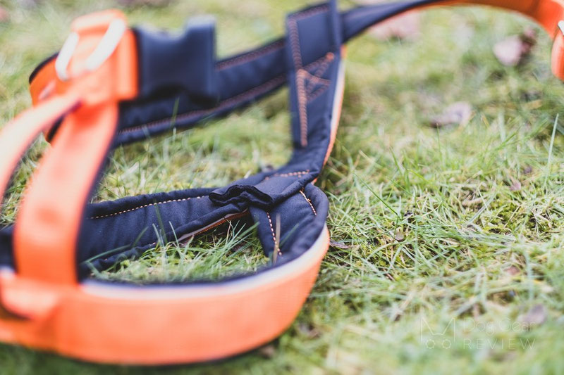 Vagus Sport Harness Review | Dog Gear Review