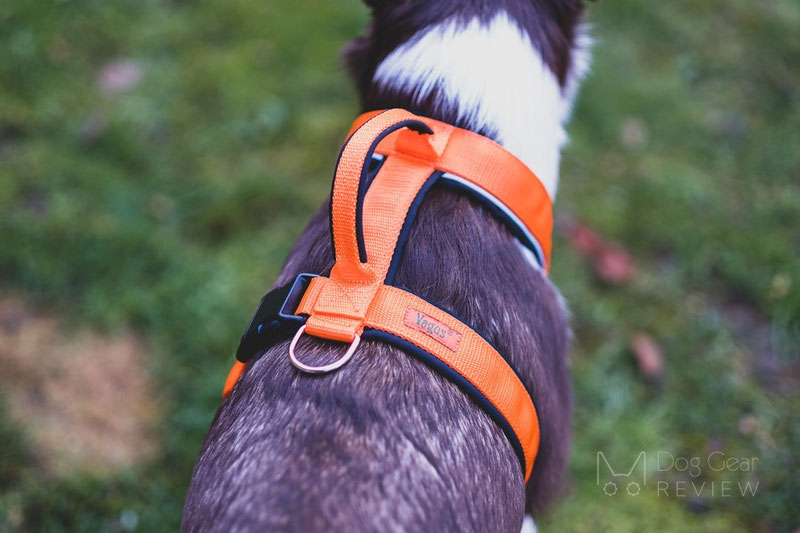 Vagus Sport Harness Review | Dog Gear Review