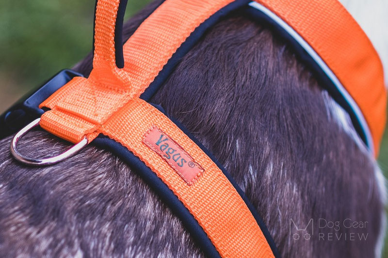 Vagus Sport Harness Review | Dog Gear Review