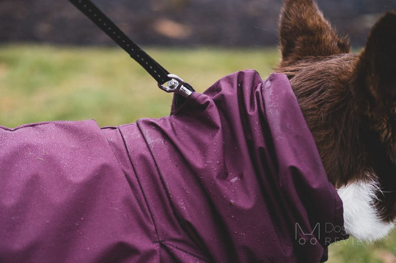 Voyagers K9 Apparel Rain Coat Review | Dog Gear Review