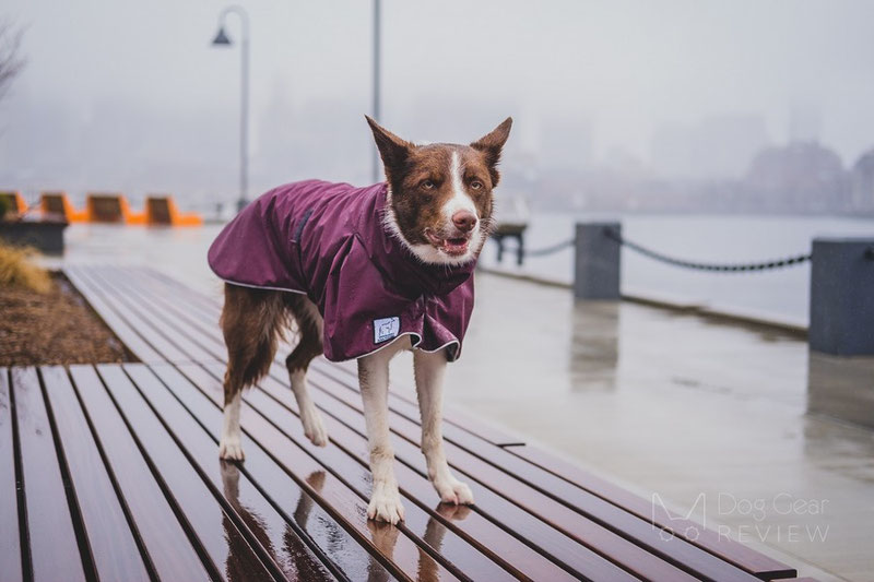Voyagers K9 Apparel Rain Coat Review | Dog Gear Review