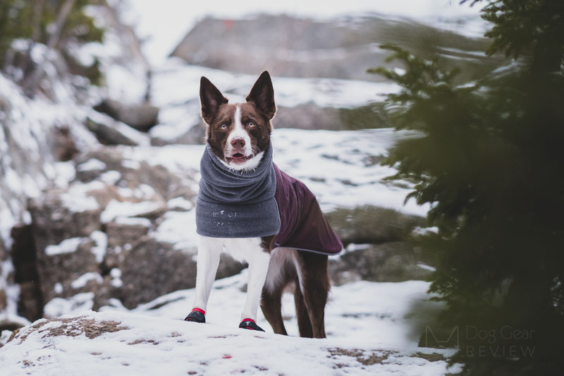 Voyagers K9 Apparel Winter Coat Review | Dog Gear Review