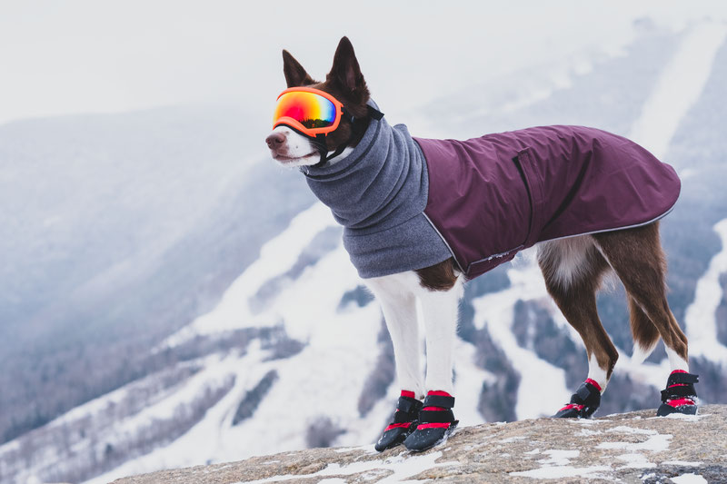 Voyagers k9 winter outlet coat