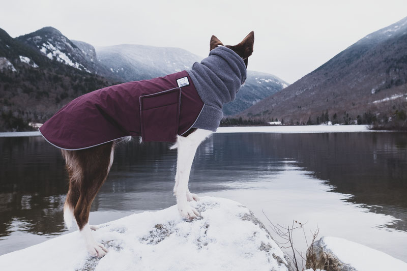 Voyager k9 hot sale winter coat