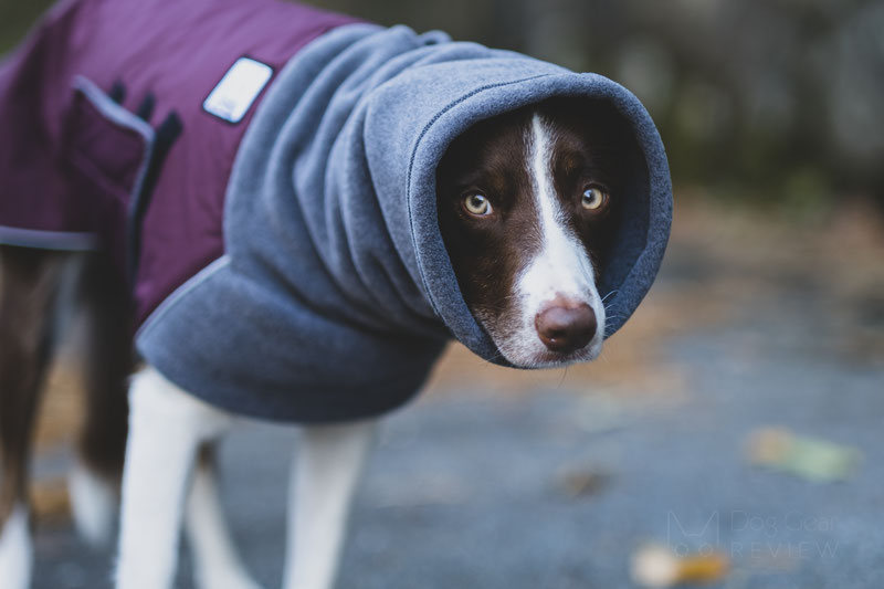 Voyagers K9 Apparel Winter Coat Review | Dog Gear Review