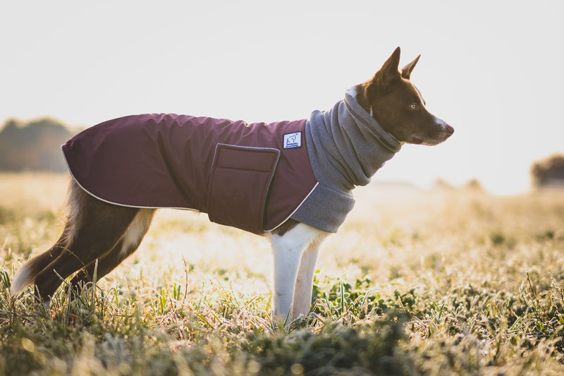 Voyagers K9 Apparel Custom Dog Rain Coat Reviews - Trailspace